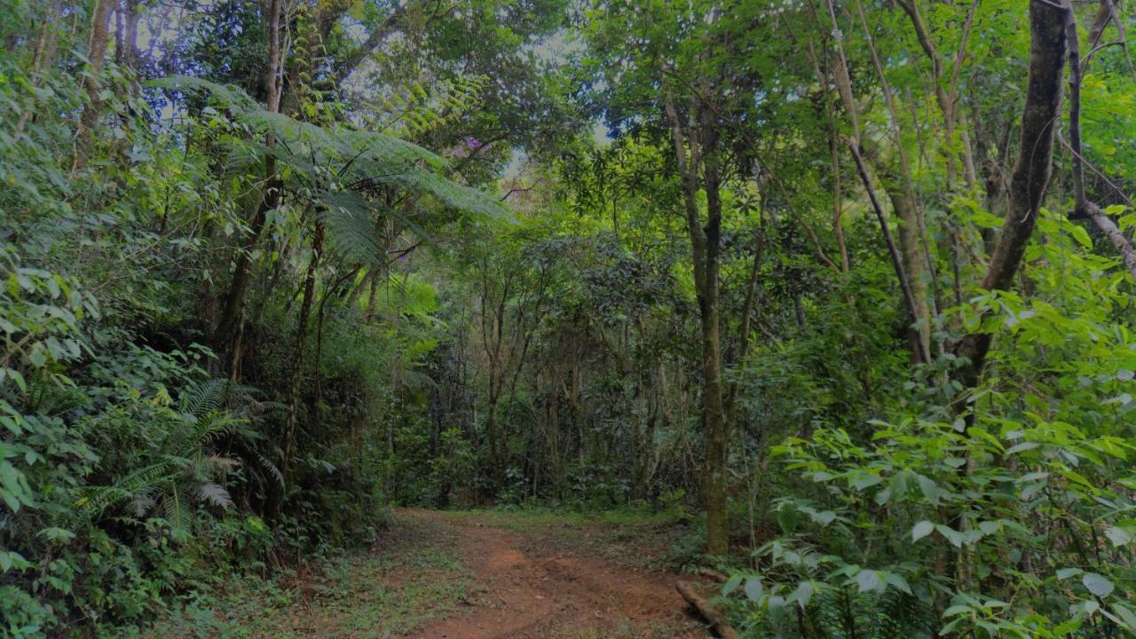 Pousada Alpes Santo Antônio do Pinhal Extérieur photo